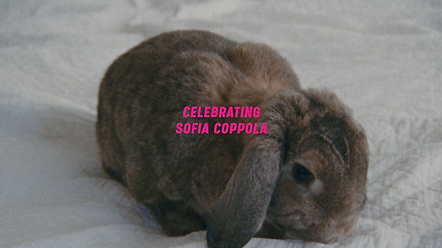 Sofia Coppola x Uniqlo (2023)